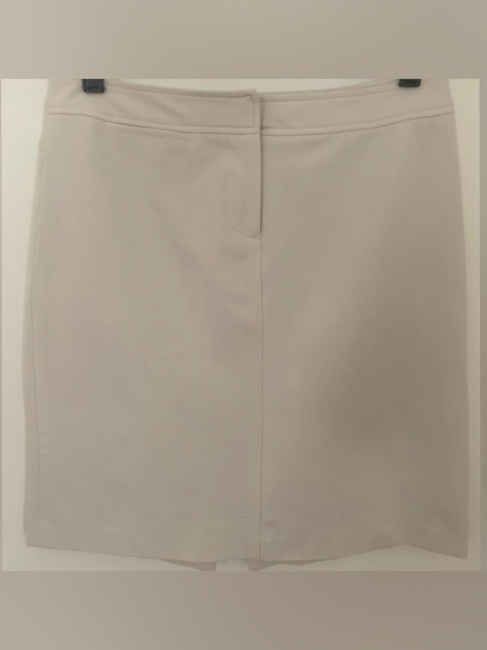 The Limited Elegant Beige Skirt
